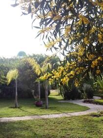 Douar Noujoum