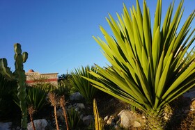 Douar Noujoum