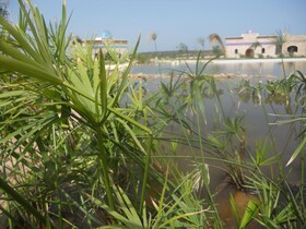 Douar Noujoum