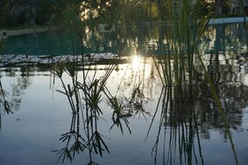 Douar Noujoum