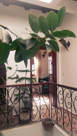 Riad Dar Lamane