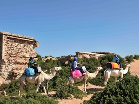 Hotel Le Golf D’Essaouira & Spa