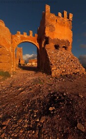 Tifawin Home & Garden