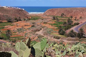 Tifawin Home & Garden