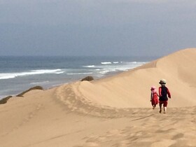 Tifawin Home & Garden