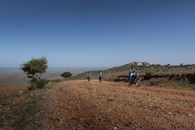 Tifawin Home & Garden