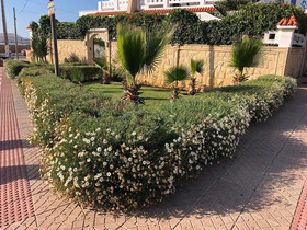 Villa Kamil