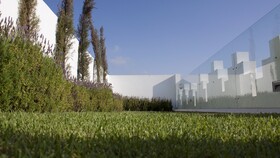Riad Zyo
