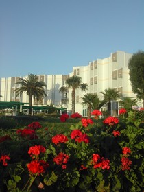 Golden Tulip Farah Safi