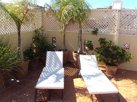 Riad Baddi
