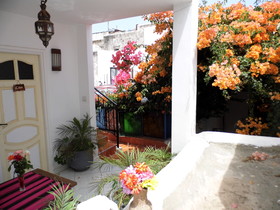 Riad Marlinea