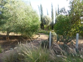 Le Jardin Aux Etoiles
