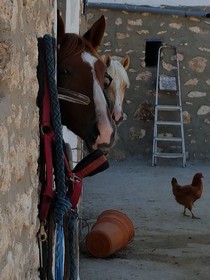 Ranch De Sidi kaouki