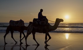 Fairmont Taghazout Bay