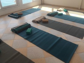 Mint Surf - Surf Camp & Yoga