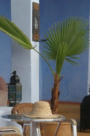 Dar Omar Khayam