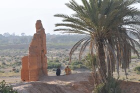 Riad Freija