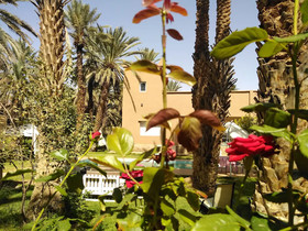 Maison D'hote Ighrem