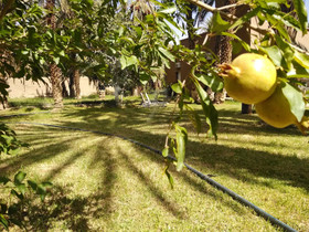 Maison D'hote Ighrem
