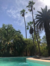 Le Jardin De La Koudya