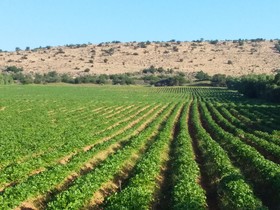 Le Jardin De La Koudya