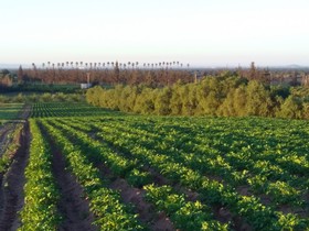 Le Jardin De La Koudya