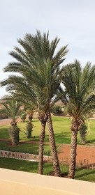Casa D'orient & Spa