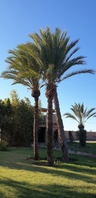 Casa D'orient & Spa
