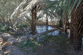 Kasbah Tissint