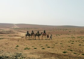The Original Camp