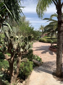 Equi Palace & Spa Near Aeroport