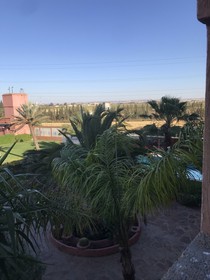 Equi Palace & Spa Near Aeroport
