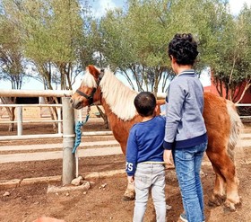 Equi Palace & Spa Near Aeroport