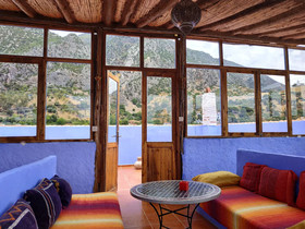 Casa Blue Star