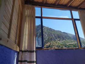 Casa Blue Star