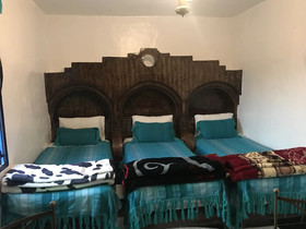 The Earth House