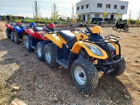 Bio Et Bois