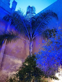 Riad Tara