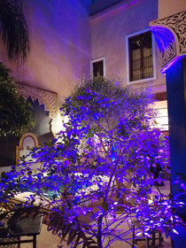 Riad Tara