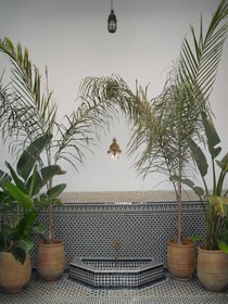 Riad Tayba