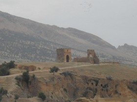 Riad Tayba