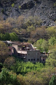 Riad Oussagou