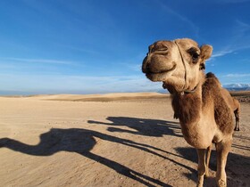 Nkhila Lodge Agafay Desert Private Camp