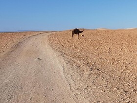 Nkhila Lodge Agafay Desert Private Camp