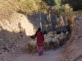 Nkhila Lodge Agafay Desert Private Camp