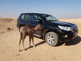 Nkhila Lodge Agafay Desert Private Camp