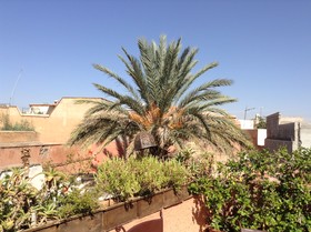 Dar Zemrane