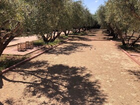 Domaine Casa Cecilia