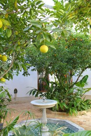 El Morocco Hotel