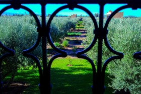 Ferme Sidi Safou